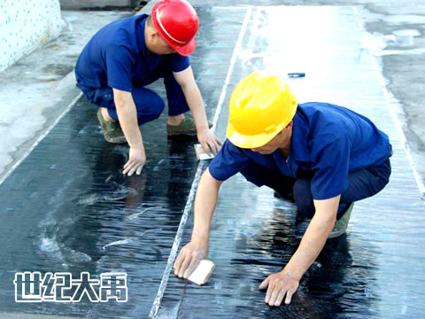 北京世纪大禹建筑防水工程有限公司